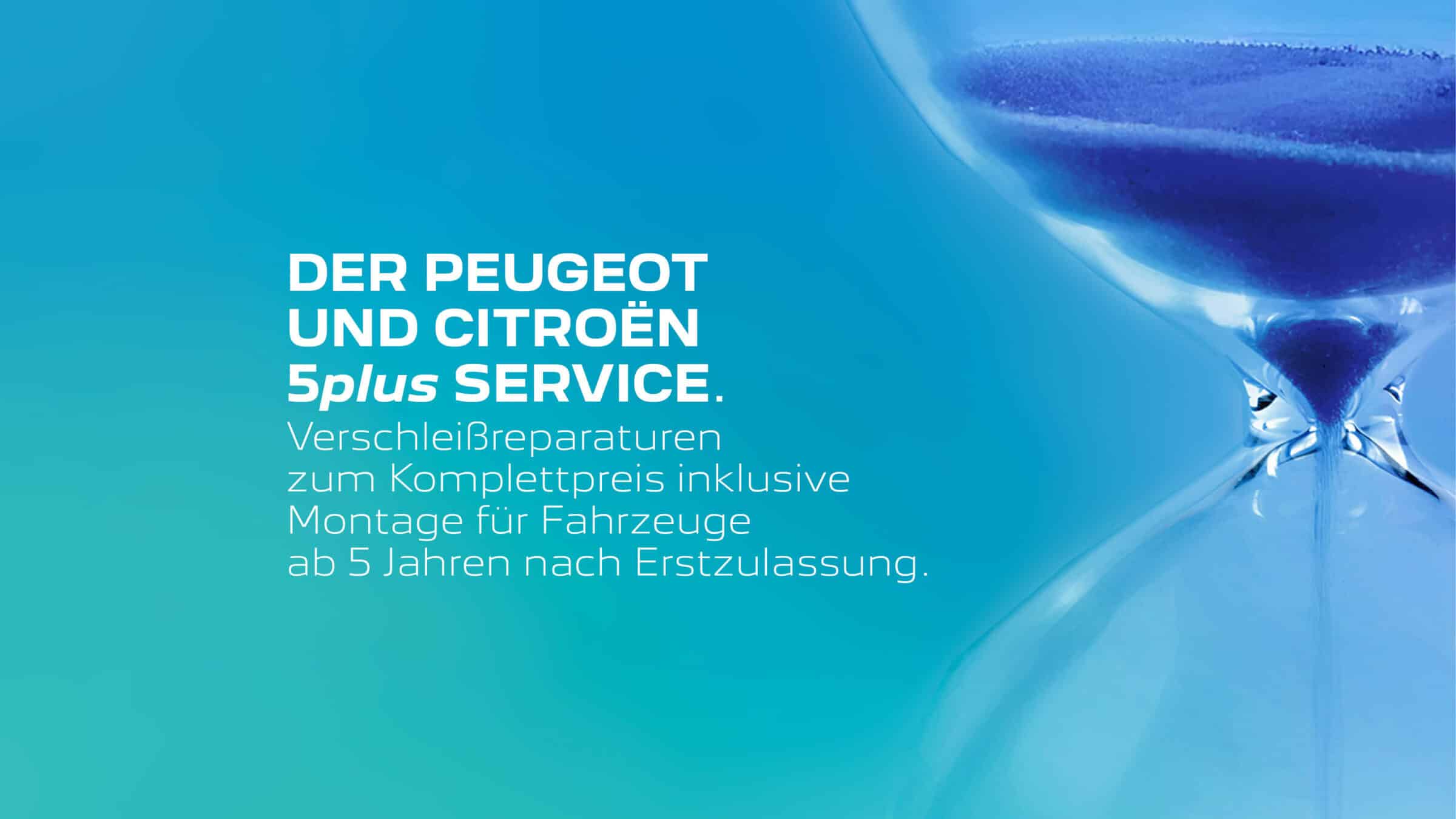 Abbildung Model Der PEUGEOT und Citroën 5<em style=