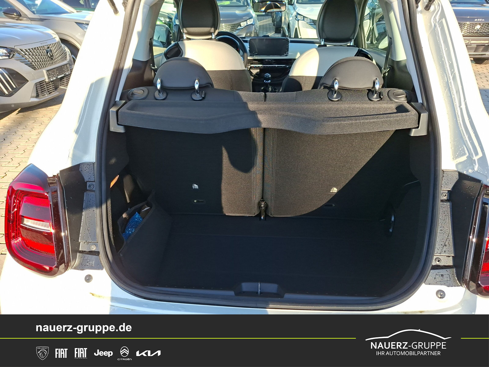 Fahrzeugabbildung Fiat 500 Mild Hybrid 1.0