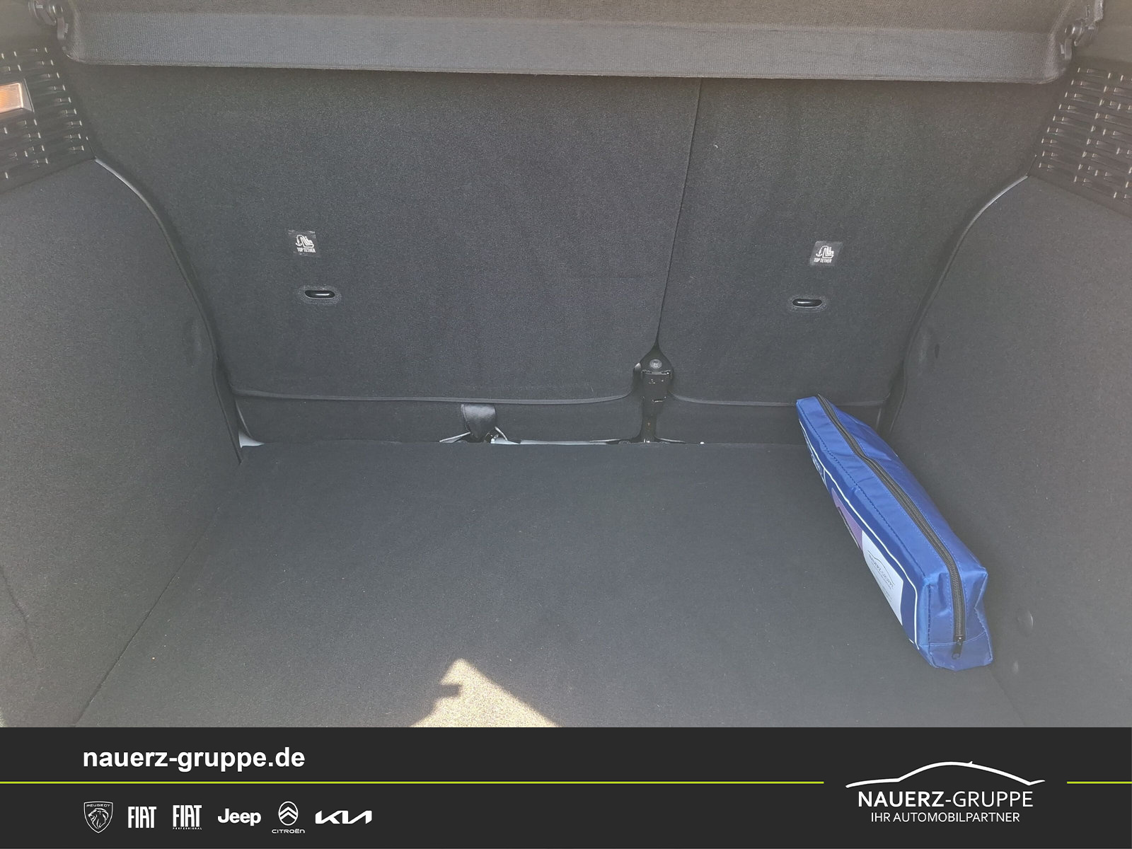 Fahrzeugabbildung Fiat 500X Basis