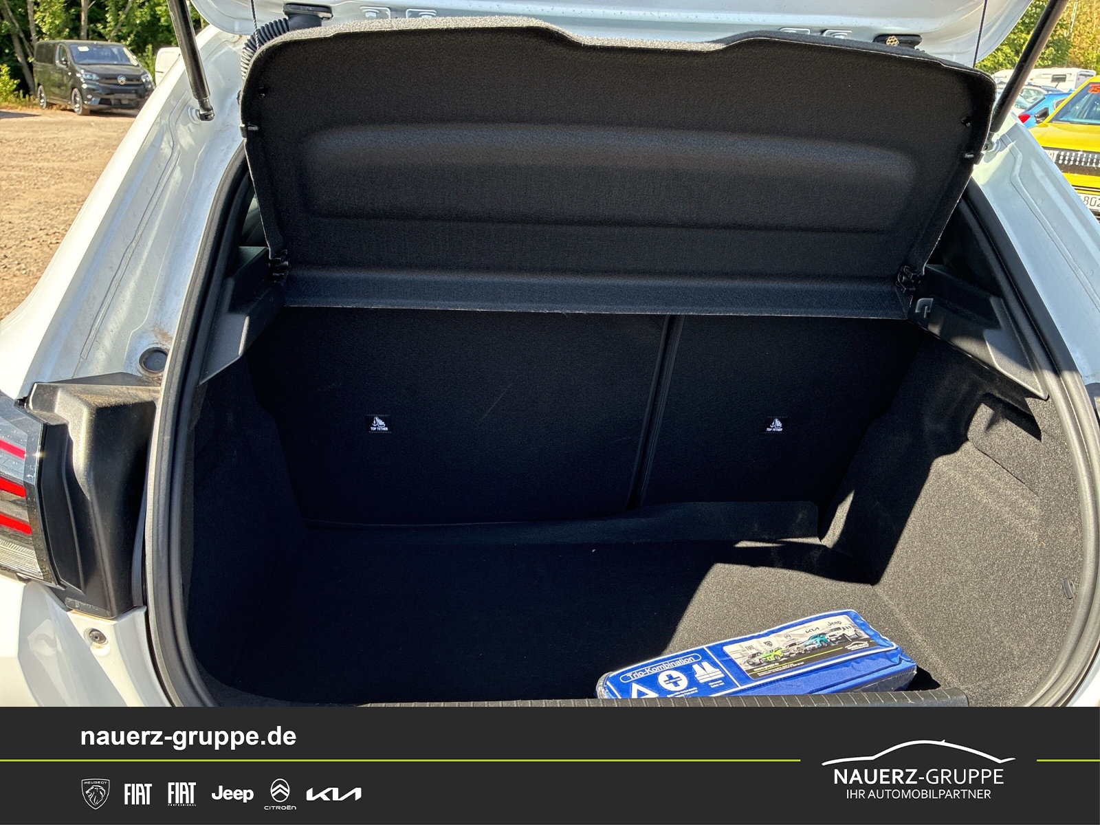 Fahrzeugabbildung Peugeot 208 Style PureTech 100