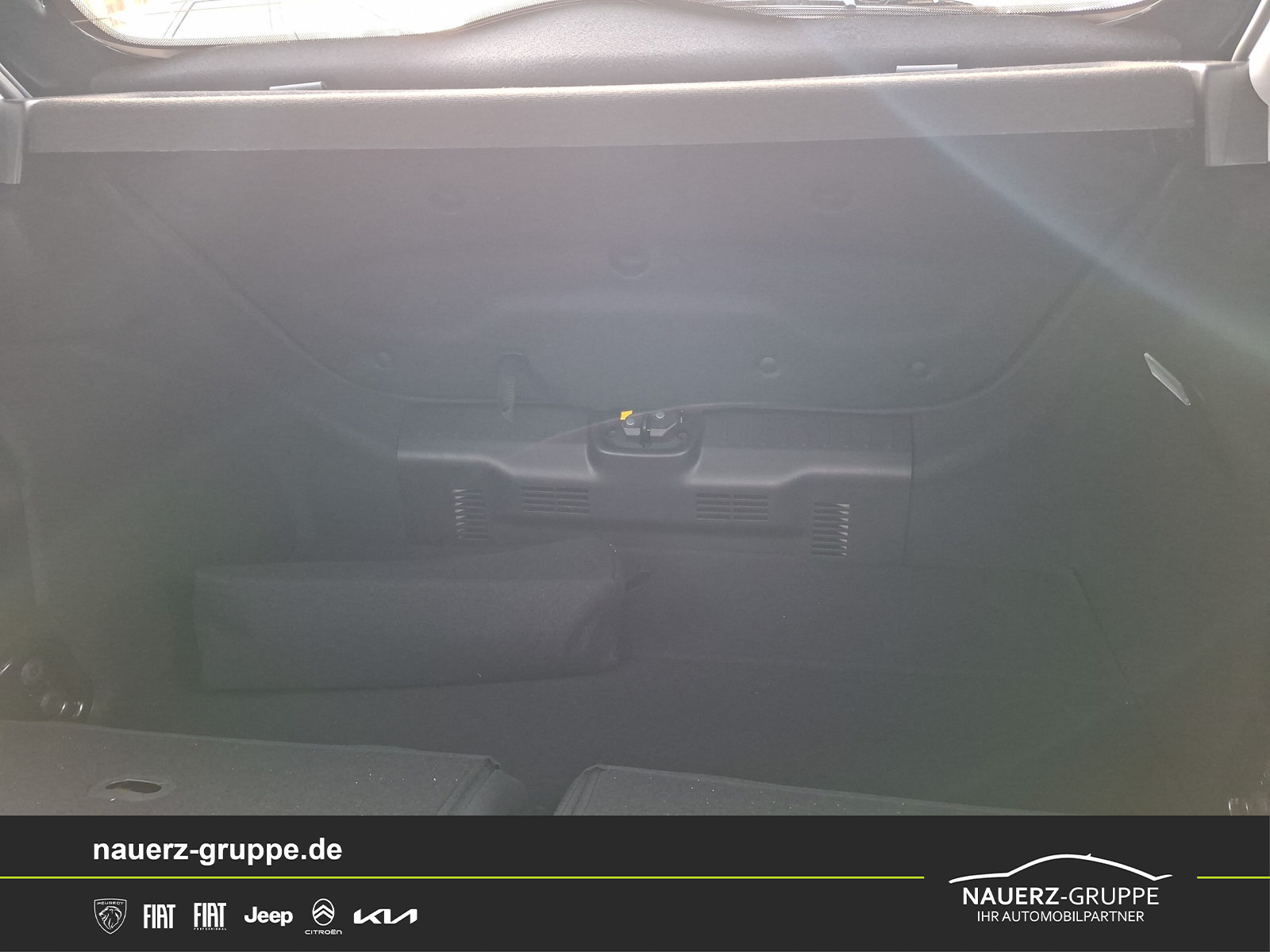 Fahrzeugabbildung Fiat 500 1.0 Hybrid FireFly 48 kW Icon