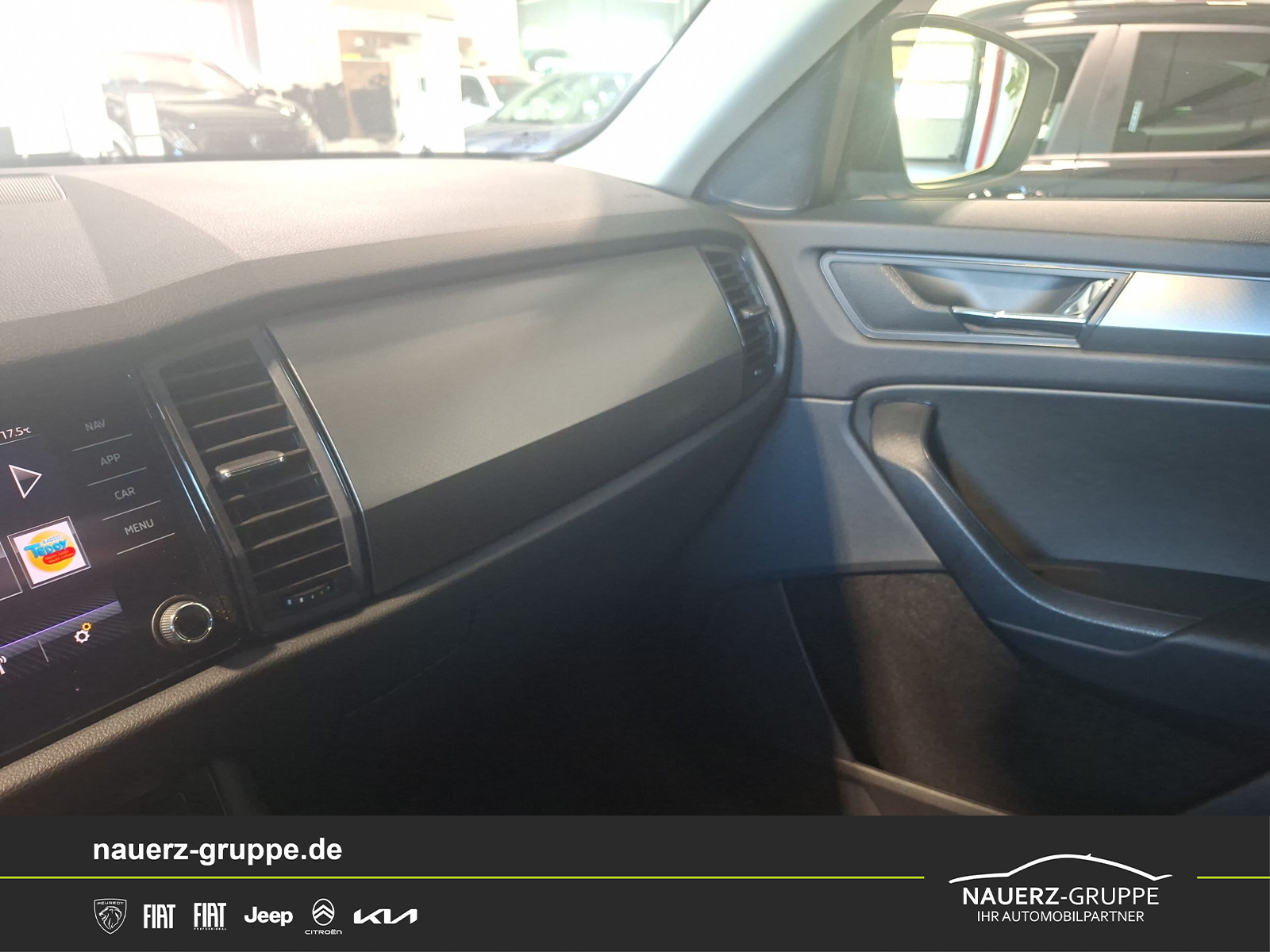Fahrzeugabbildung SKODA KODIAQ TDI 2.0 4x4 Clever 4x4