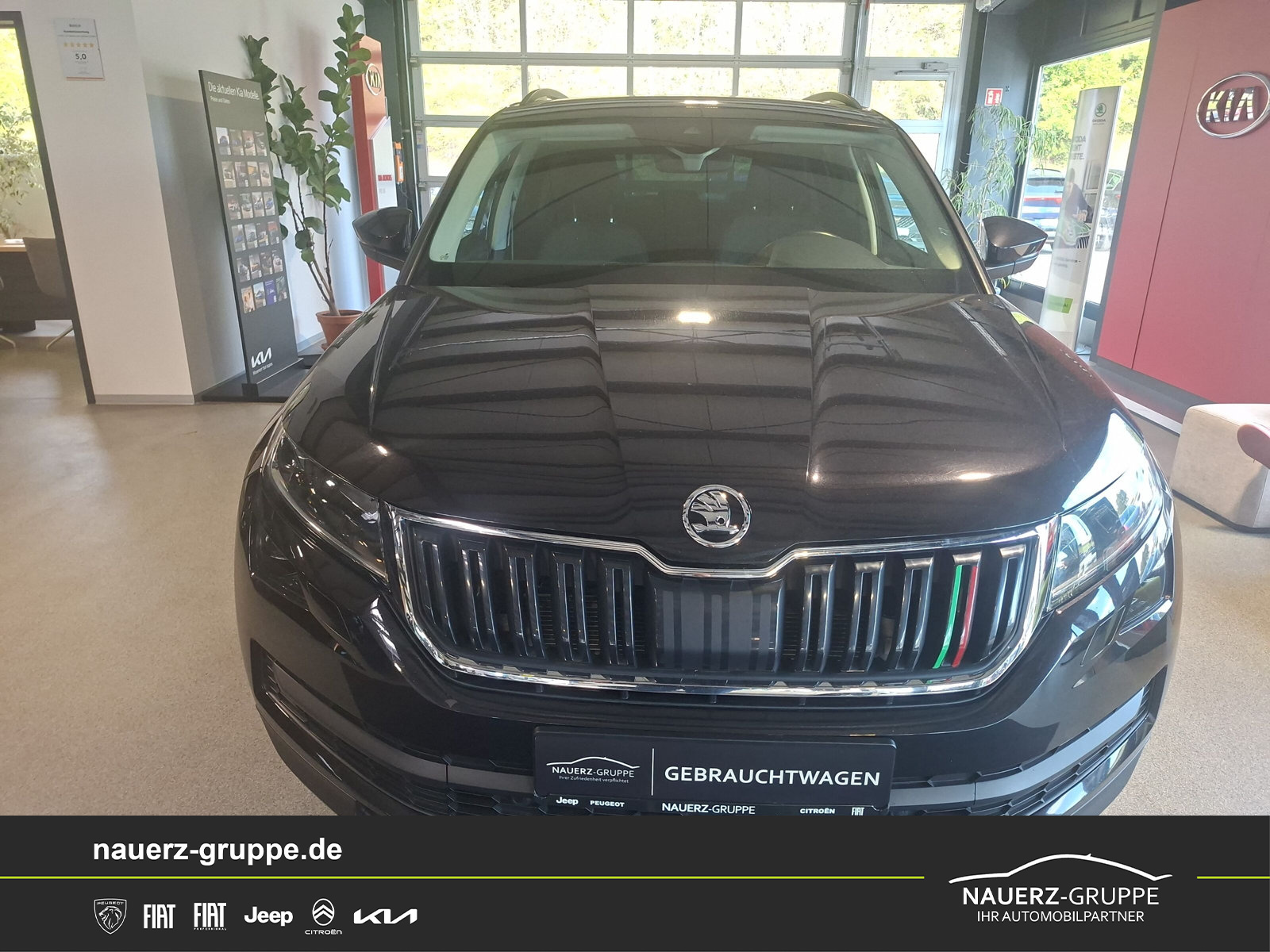 Fahrzeugabbildung SKODA KODIAQ TDI 2.0 4x4 Clever 4x4