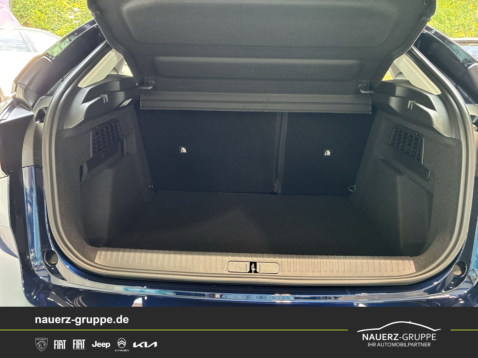 Fahrzeugabbildung Citroen C4 Hybrid 145 Doppel Collection