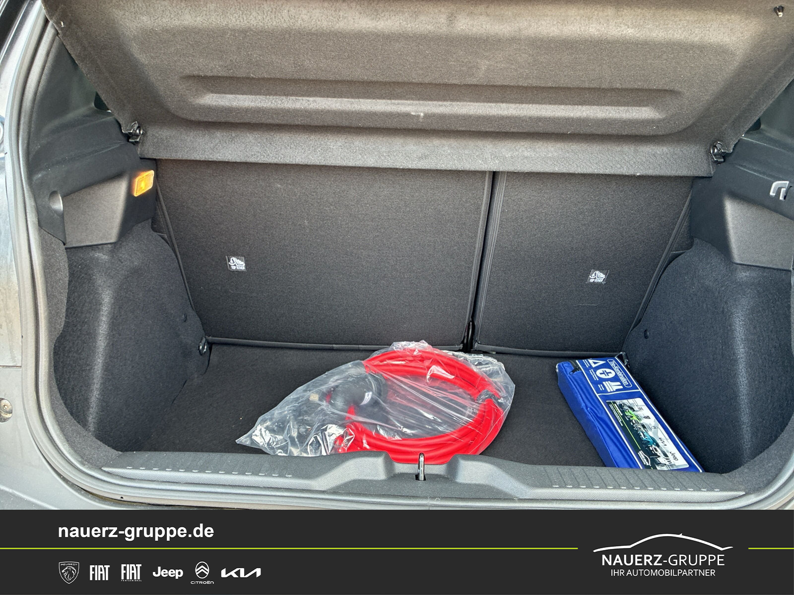 Fahrzeugabbildung Citroen C3 ë 113 MAX
